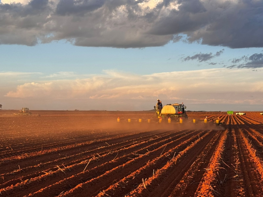 12 Bedroom Property for Sale in Bloemfontein Rural Free State